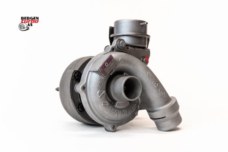 TURBO RENAULT,NISSAN 14411-00Q0F 5439 988 0070 54399700030/39